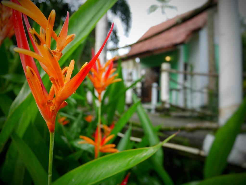 Arcadian Resort Ao Nang Luaran gambar